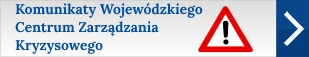 wykluczenie_cyfrowe.jpg
